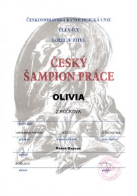 sampion-prace